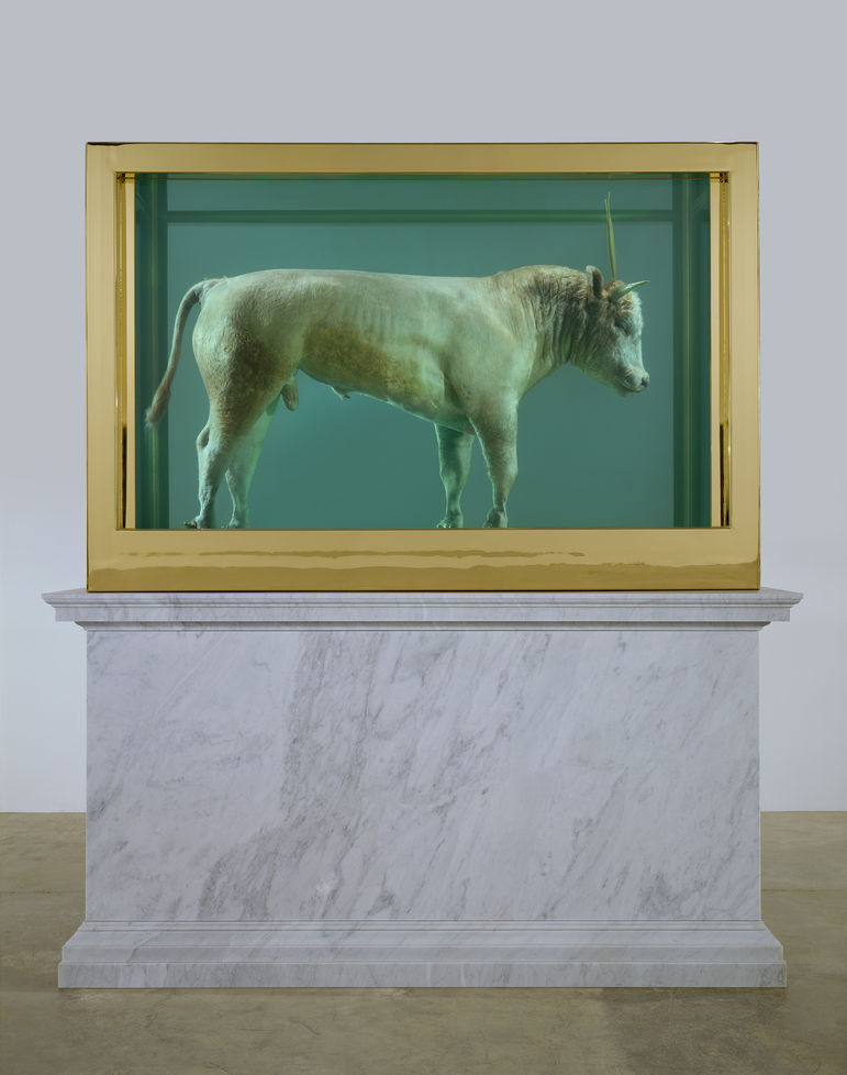 Damien First: Golden Calf, 2008