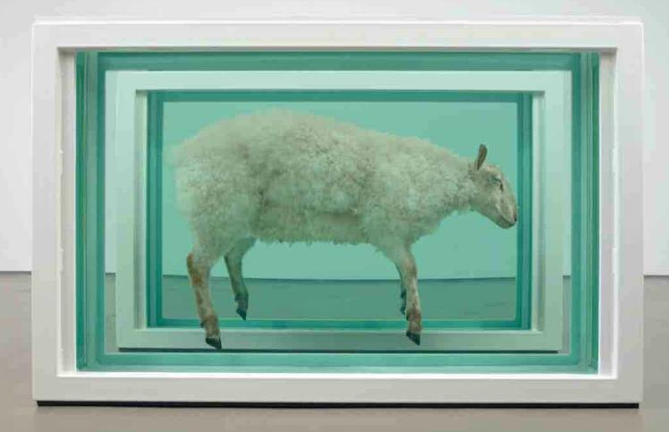 Damien Hirst: Away From the Flock (Divided) / 1995 / objekt – kombinovaná technika